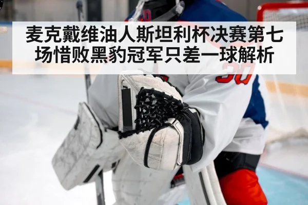 hockey goalie save